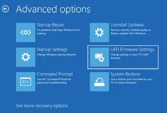 screenshot: in Windows Advanced Options Menu